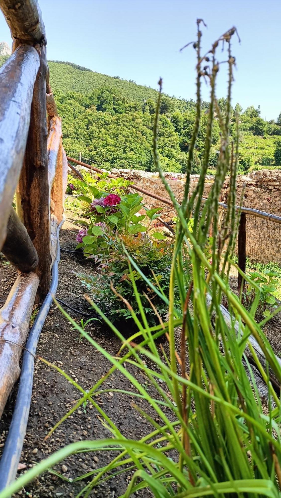 Casale Forno Vecchio Villa Tramonti Exterior foto